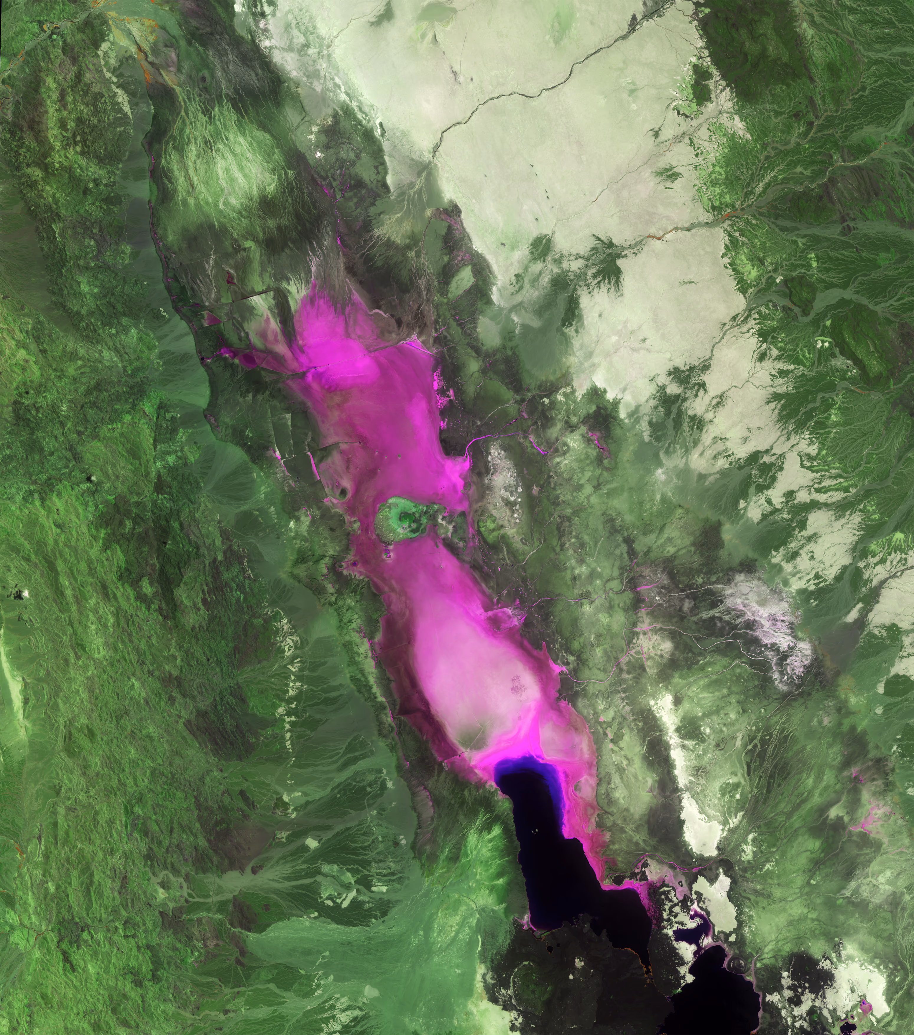 A satellite image of The Dankil Depression in Ethiopia