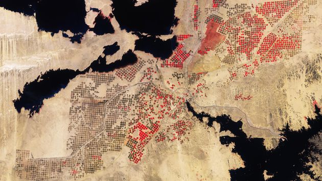 Satellite image of agricultural developments in Southern Egypt