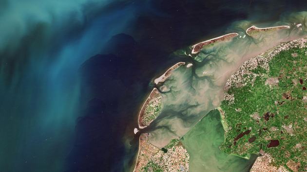 A satellite image of the Dutch tulip fields and phytoplankton in the North Sea