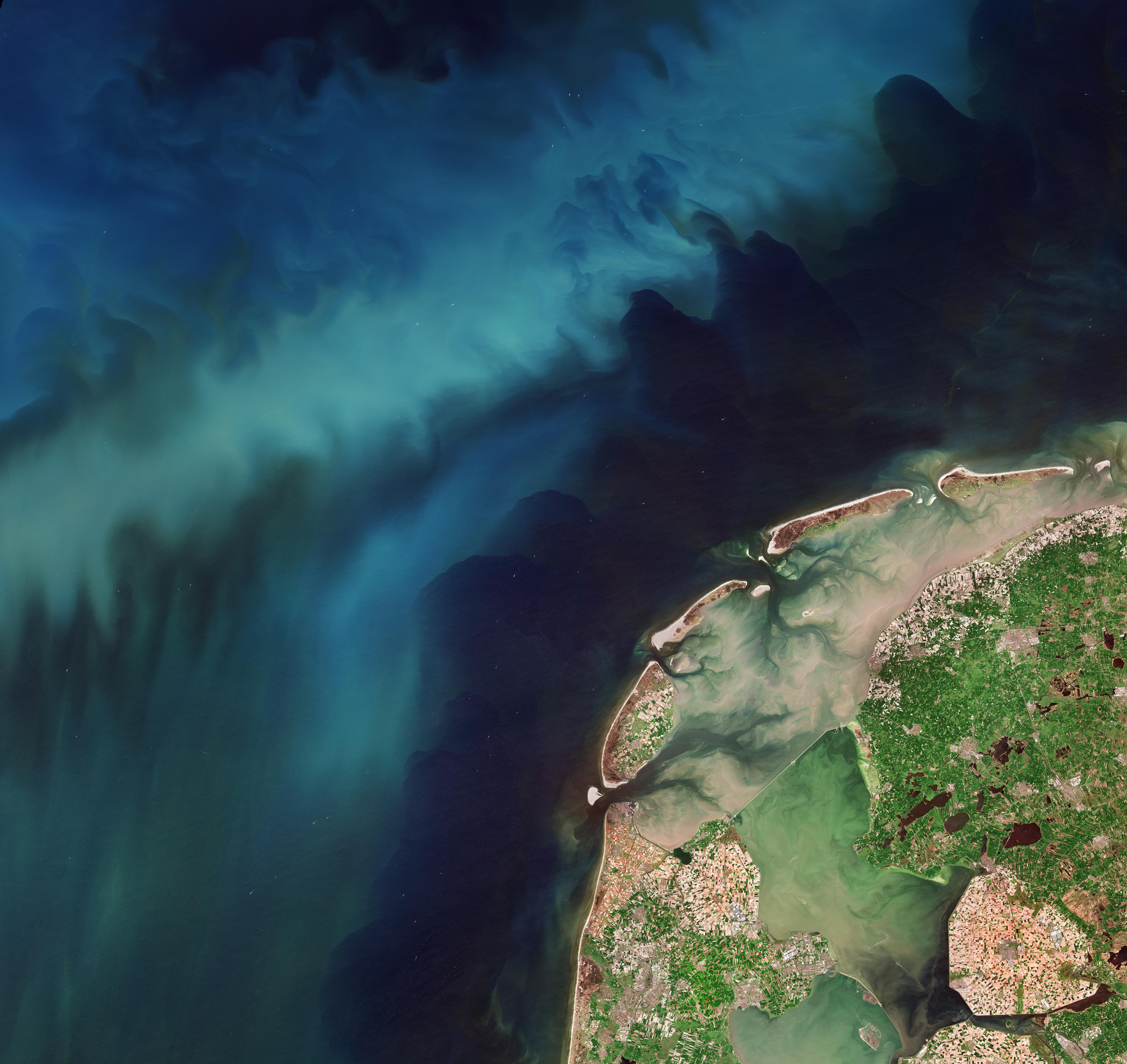 Satellite image of tulips fields in the Netherlands and phytoplankton in the North Sea