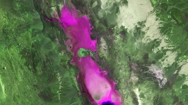 Satellite image of the Danakil Depression in Ethiopia