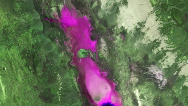 A satellite image of The Dankil Depression in Ethiopia