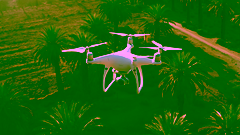 A UAV hovering over a palm farm