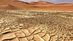 Dry soil