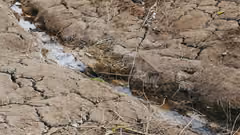 Cracked ground