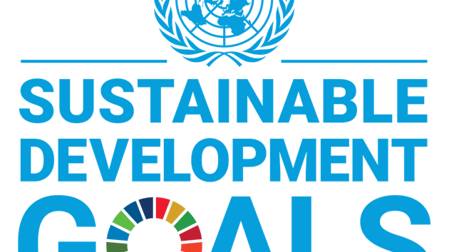 Sustainable development goals logo