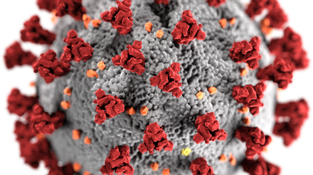 Image of the ultrastructural morphology exhibited by coronaviruses