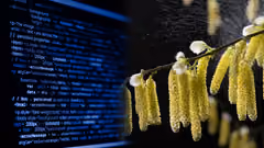 A mixed image of code on a screen and pollen