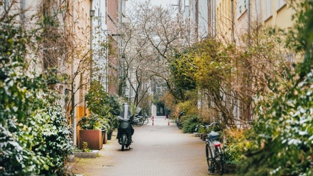 A street with greenery on both sides