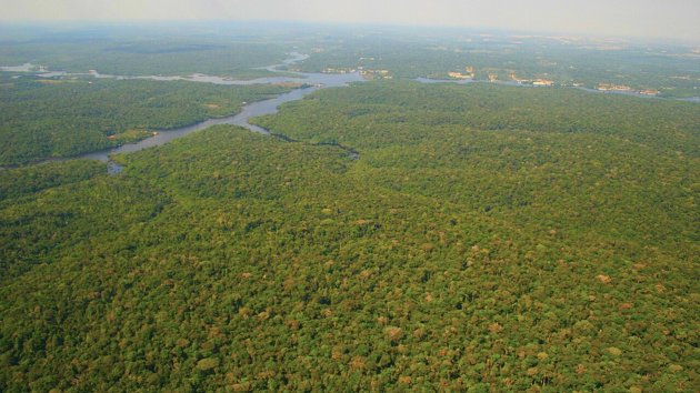 Amazon rainforest