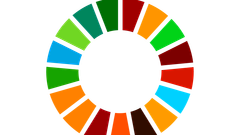Sustainable Development Goals wheel