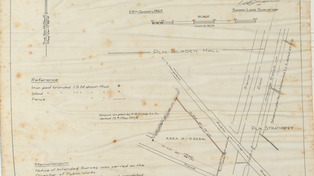 A paper survey plan