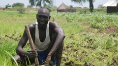 A farmer planting on his land in Ethiopia