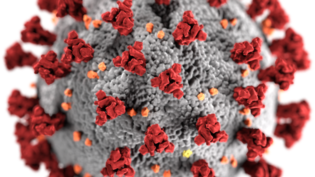 Image of the ultrastructural morphology exhibited by coronaviruses
