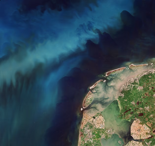 Satellite image of tulips fields in the Netherlands and phytoplankton in the North Sea