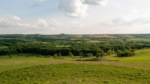 image of grasslands