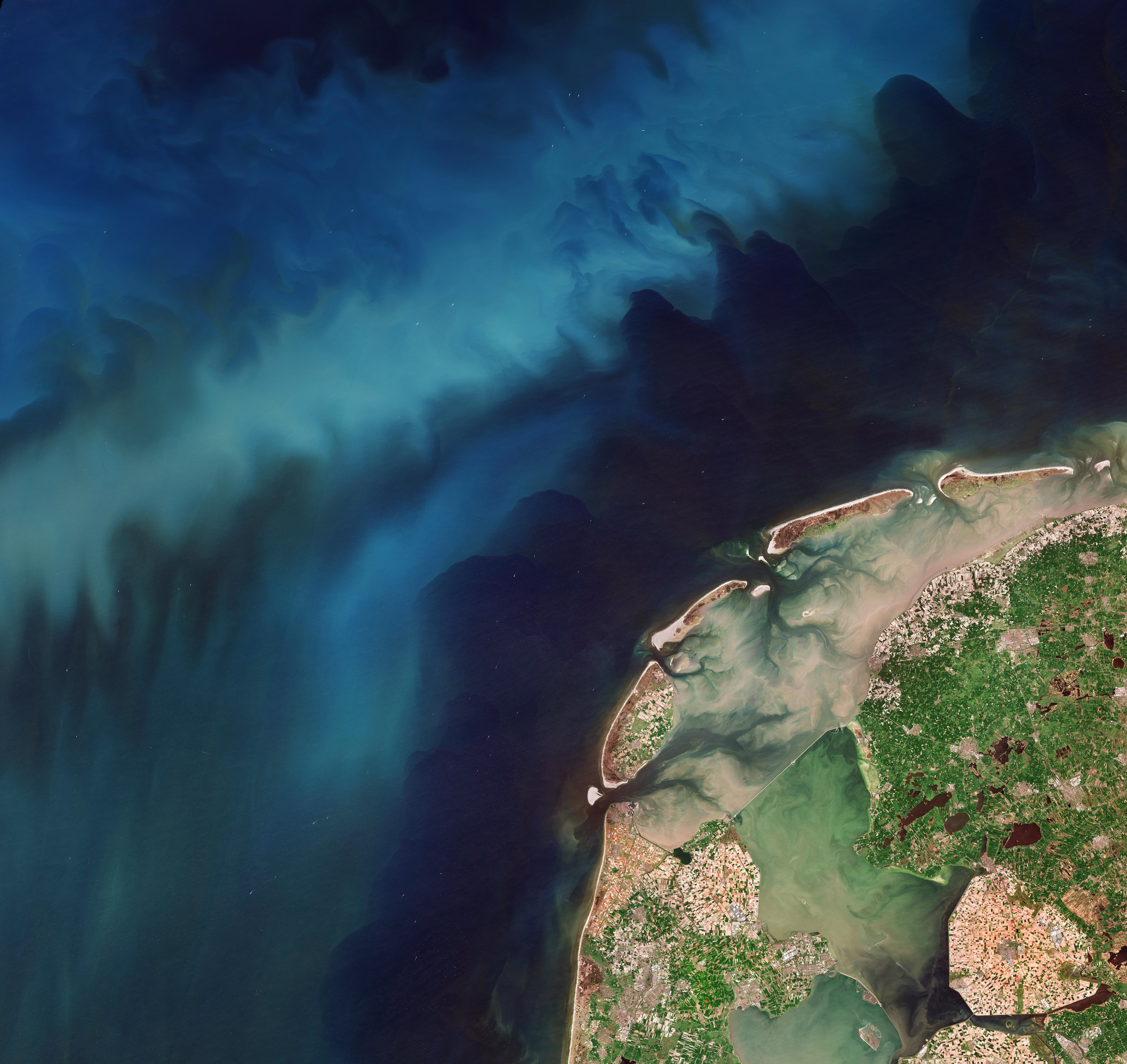 Satellite image of tulips fields in the Netherlands and phytoplankton in the North Sea