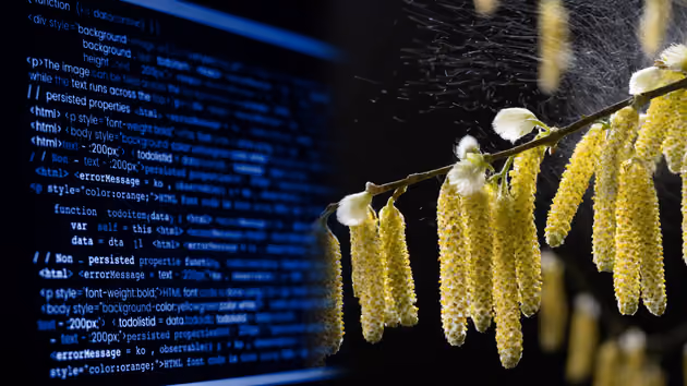 A mixed image of code on a screen and pollen