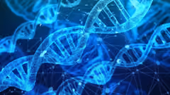 DNA strands
