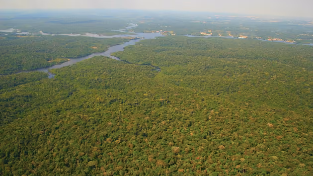 Amazon rainforest