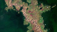 Satellite image of Likouala-aux-Herbes river, Congo