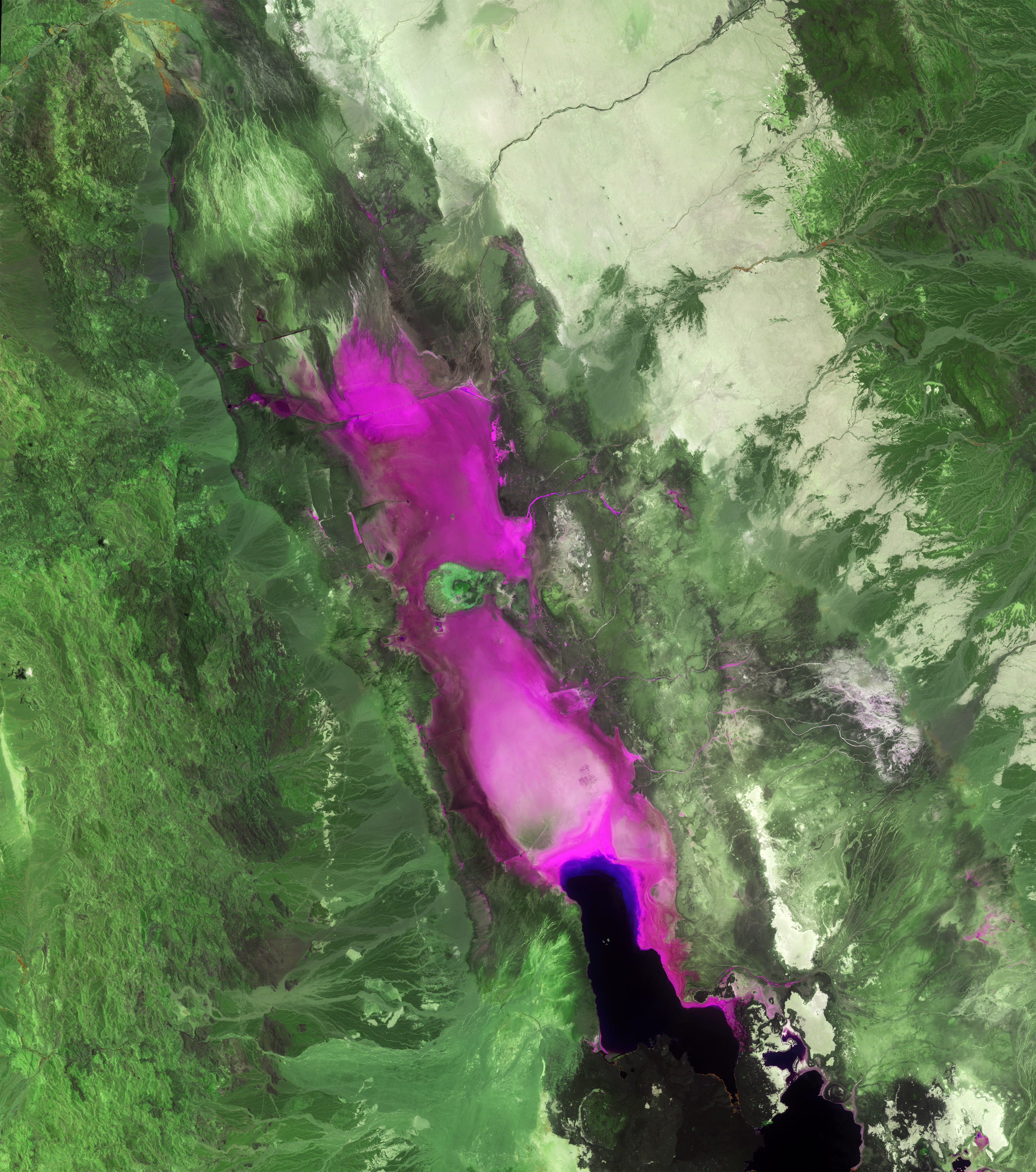 A satellite image of The Dankil Depression in Ethiopia