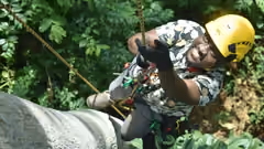 A man ascending a tree with a climbing rope