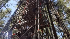 A view from the ground of a tower in a forest